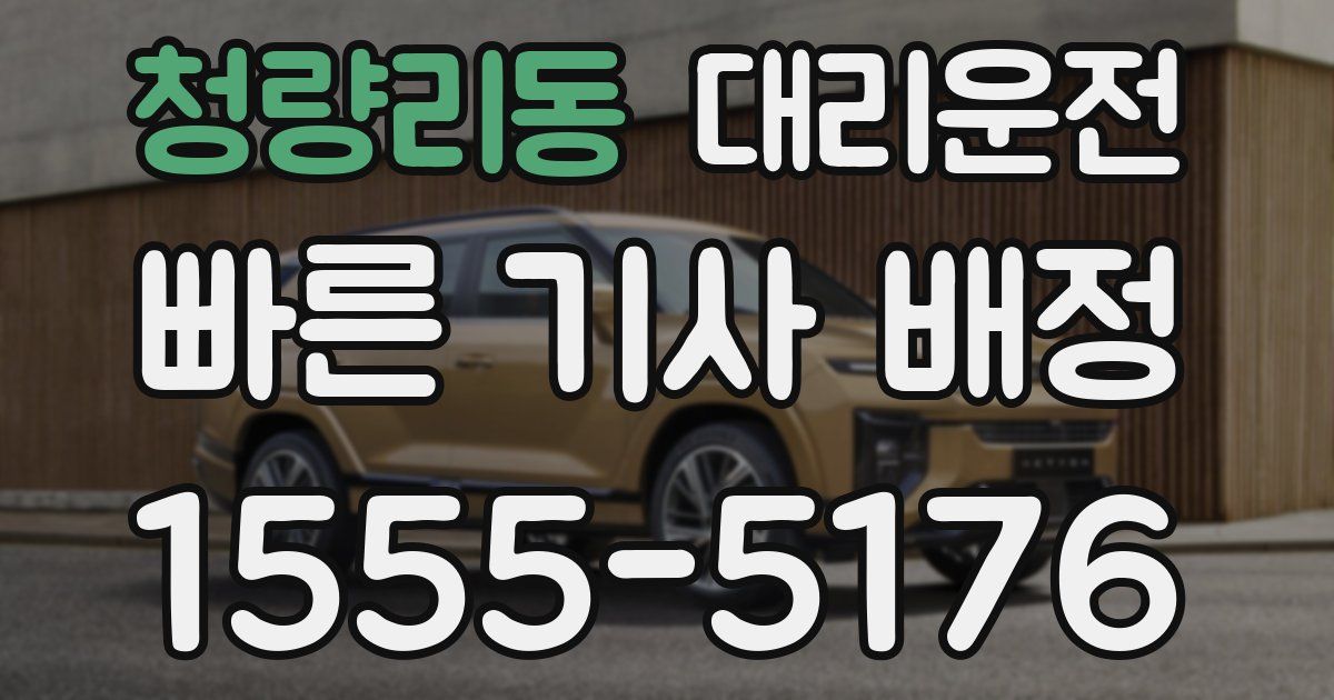 일일대리기사
