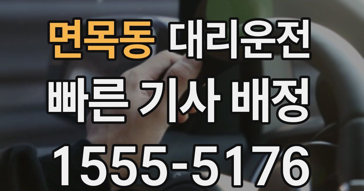일일대리기사