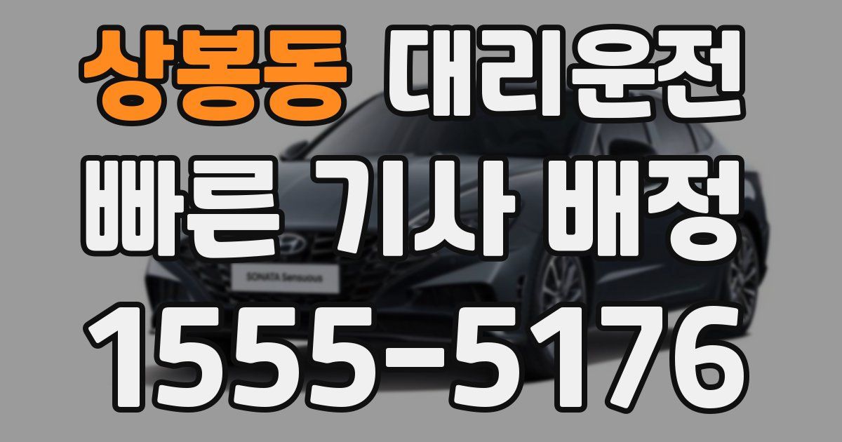 일일대리기사