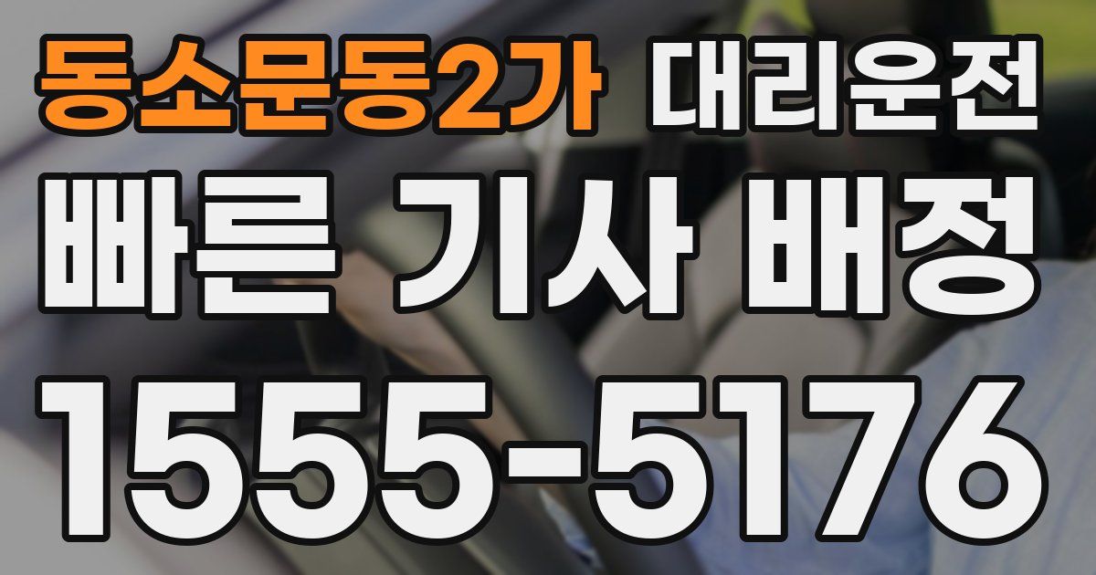 일일대리기사