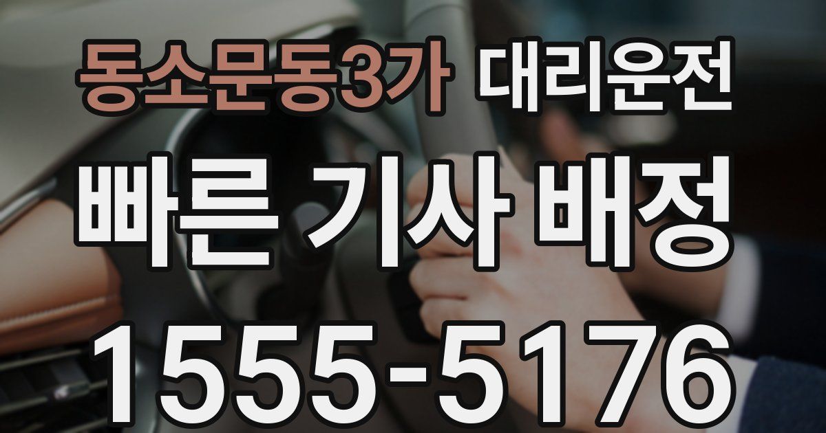 일일대리기사