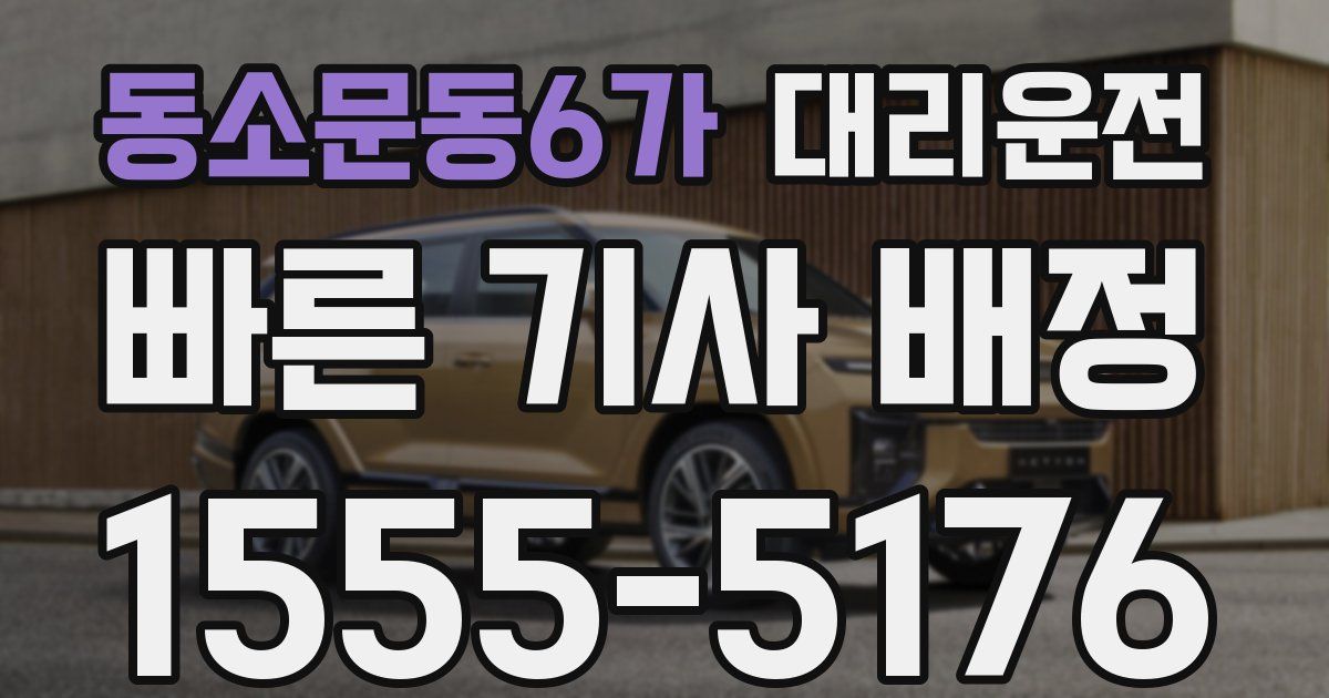 일일대리기사