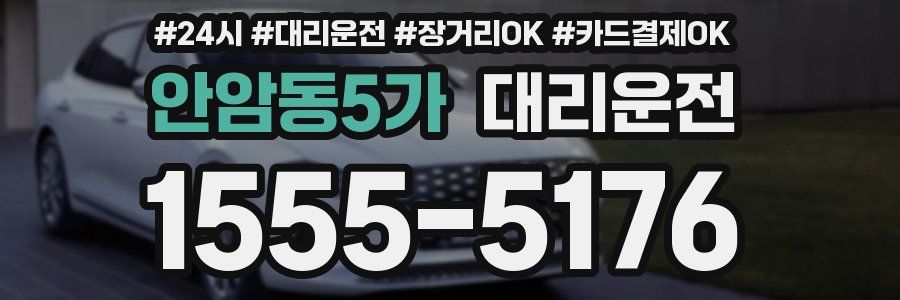 안암동5가 대리운전