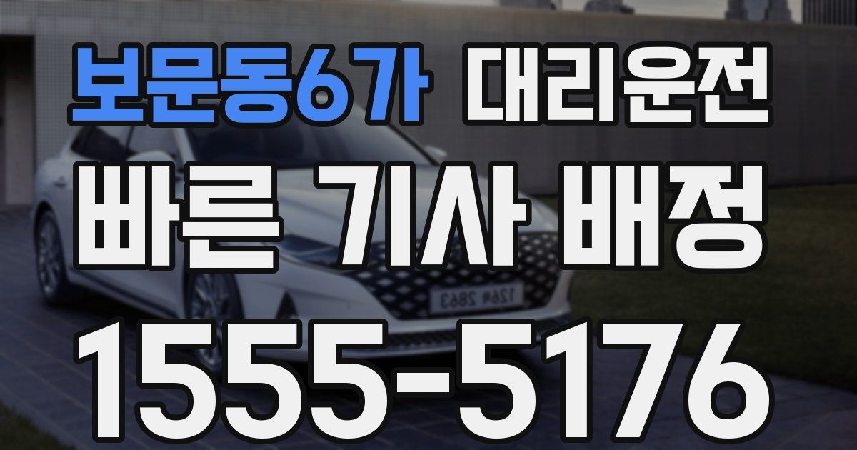 일일대리기사