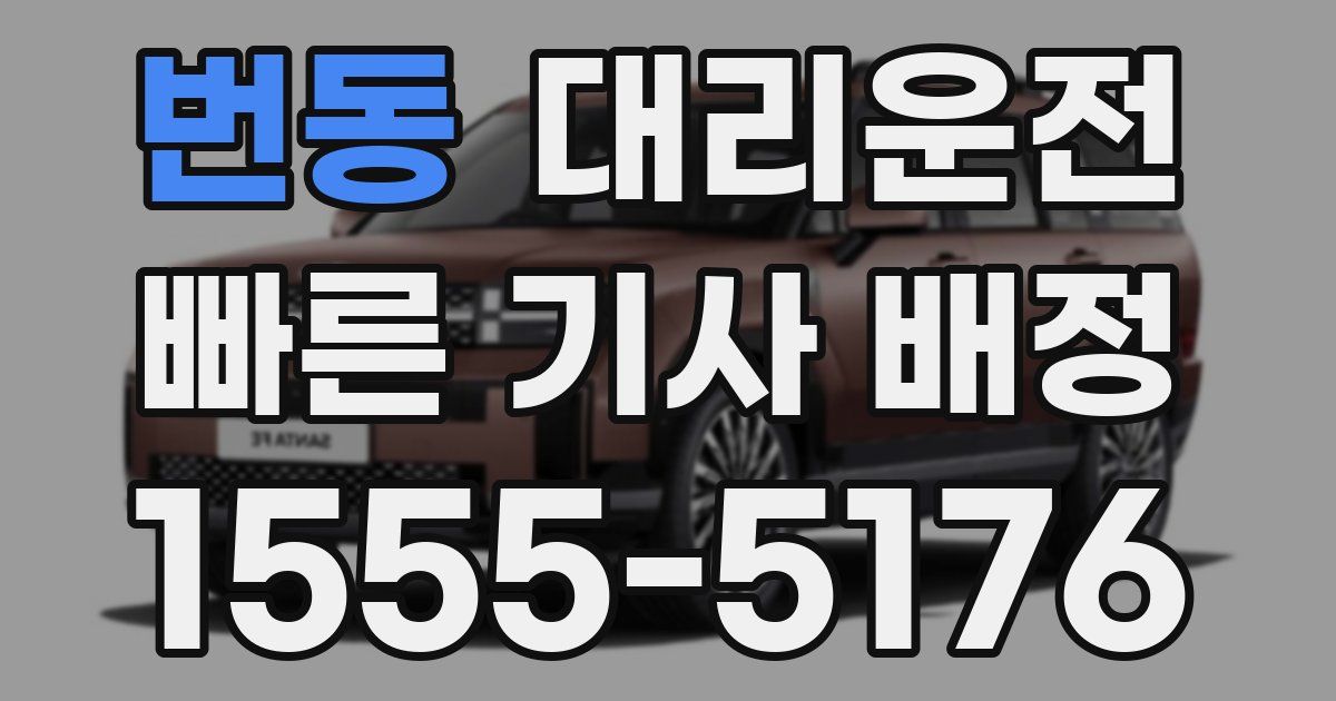 일일대리기사