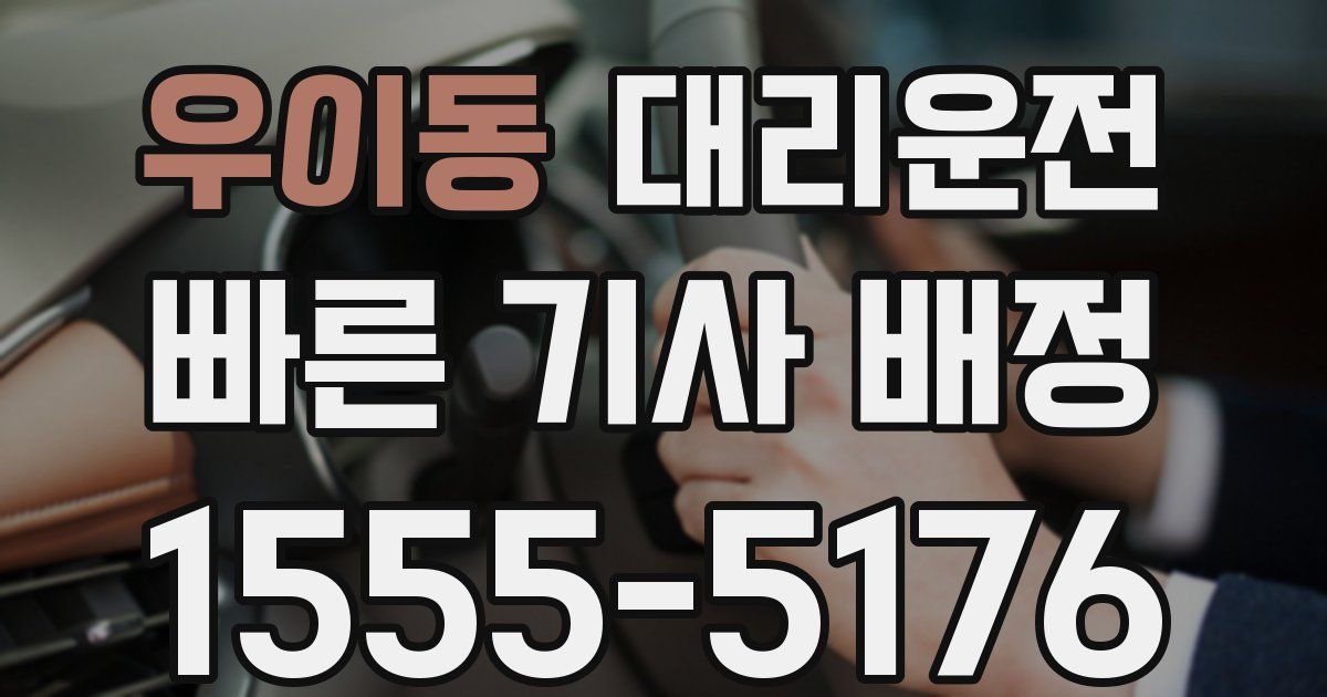 일일대리기사