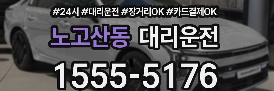 노고산동 대리운전