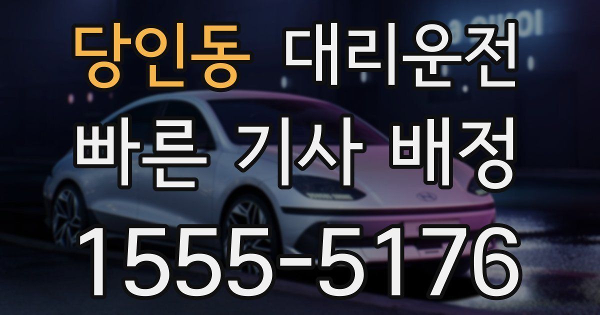 일일대리기사