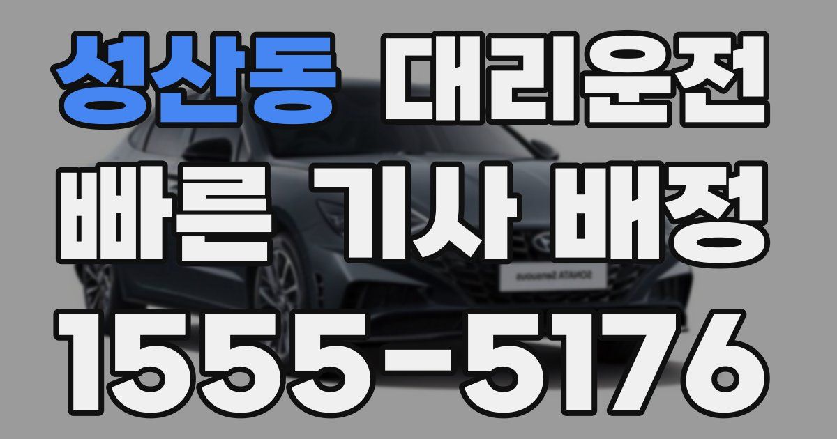 일일대리기사