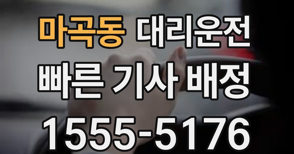 일일대리기사
