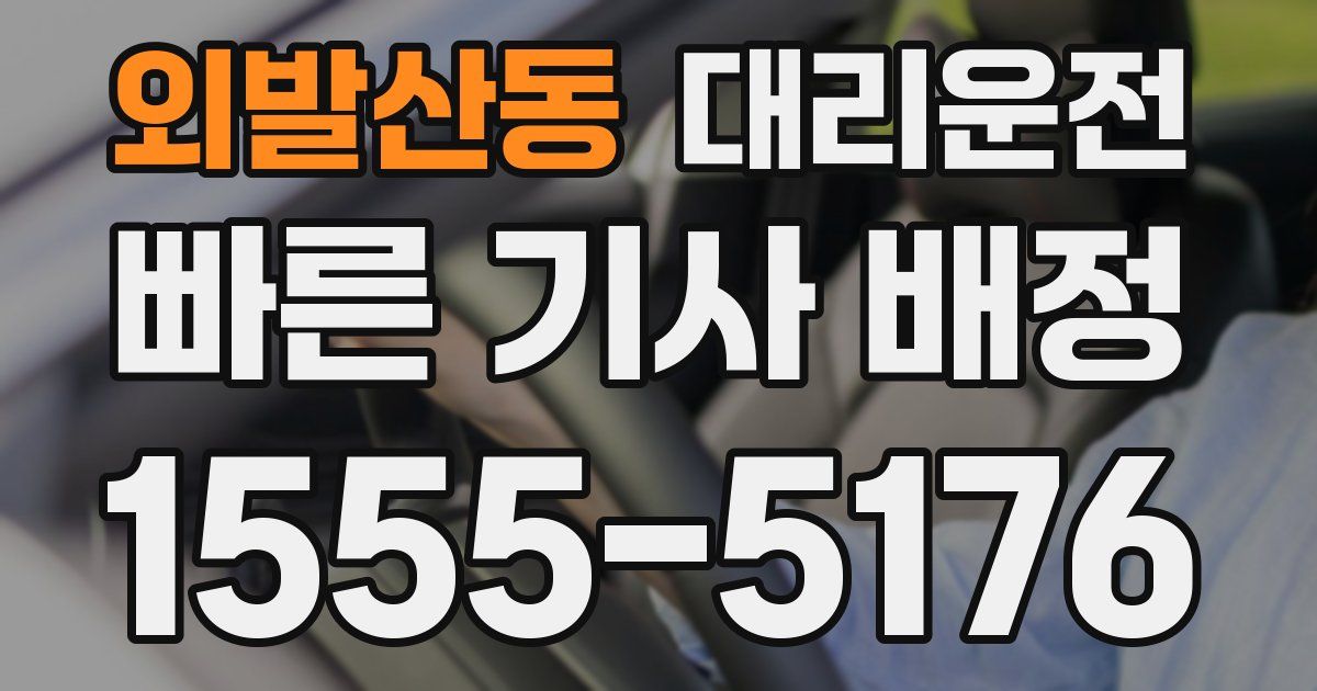 일일대리기사