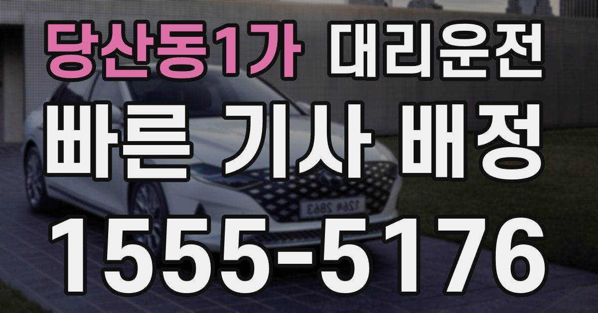 일일대리기사