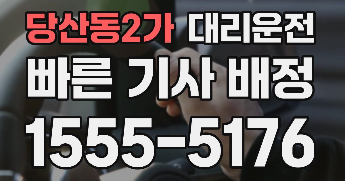 일일대리기사