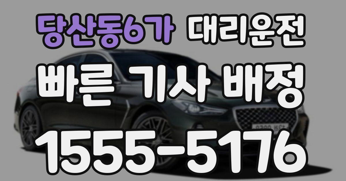 일일대리기사