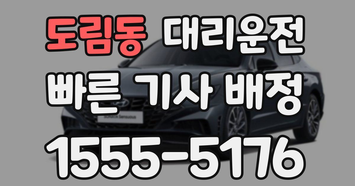 일일대리기사