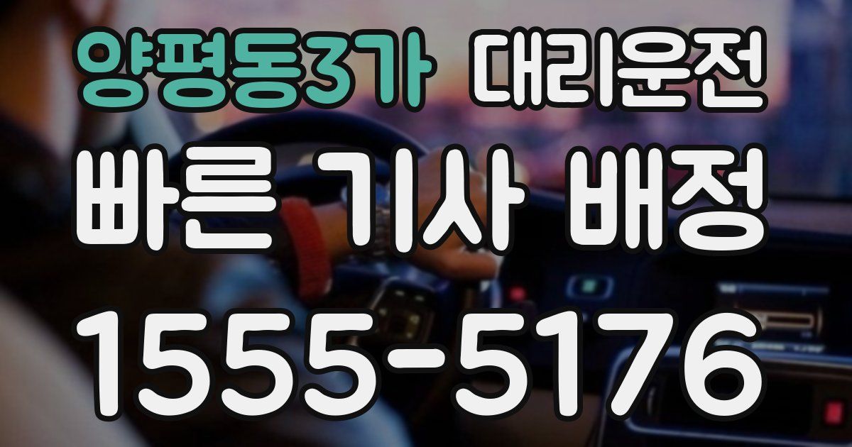 일일대리기사