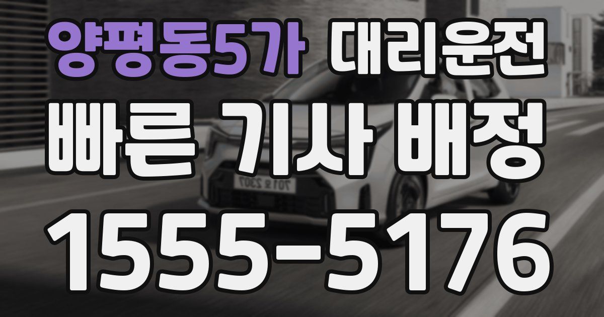 일일대리기사