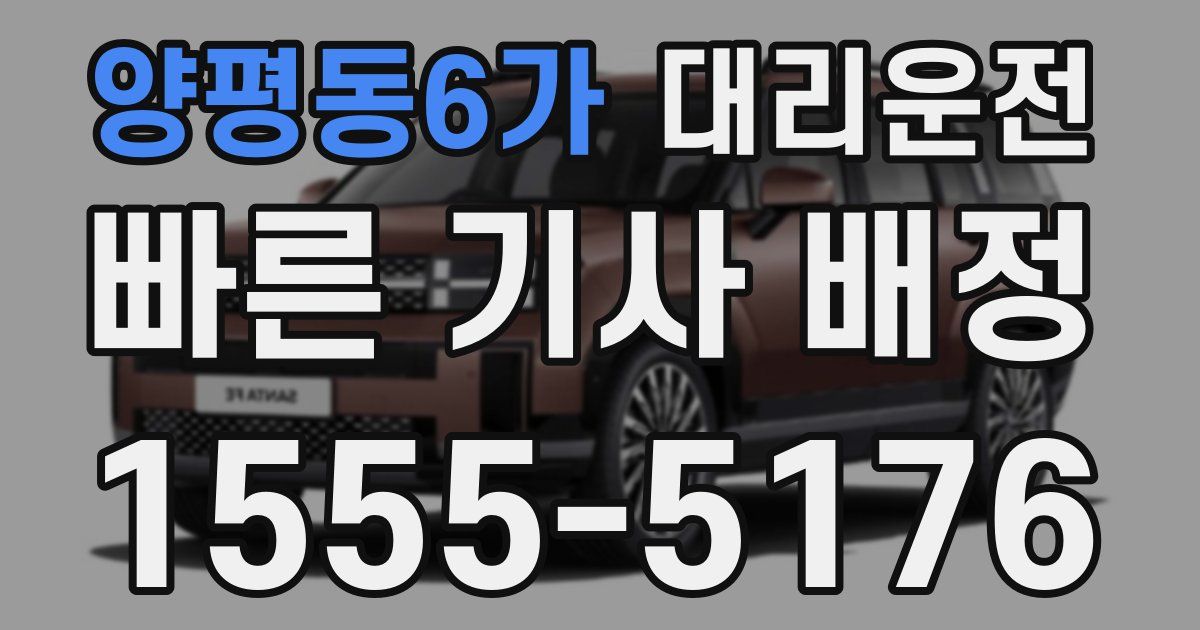 일일대리기사