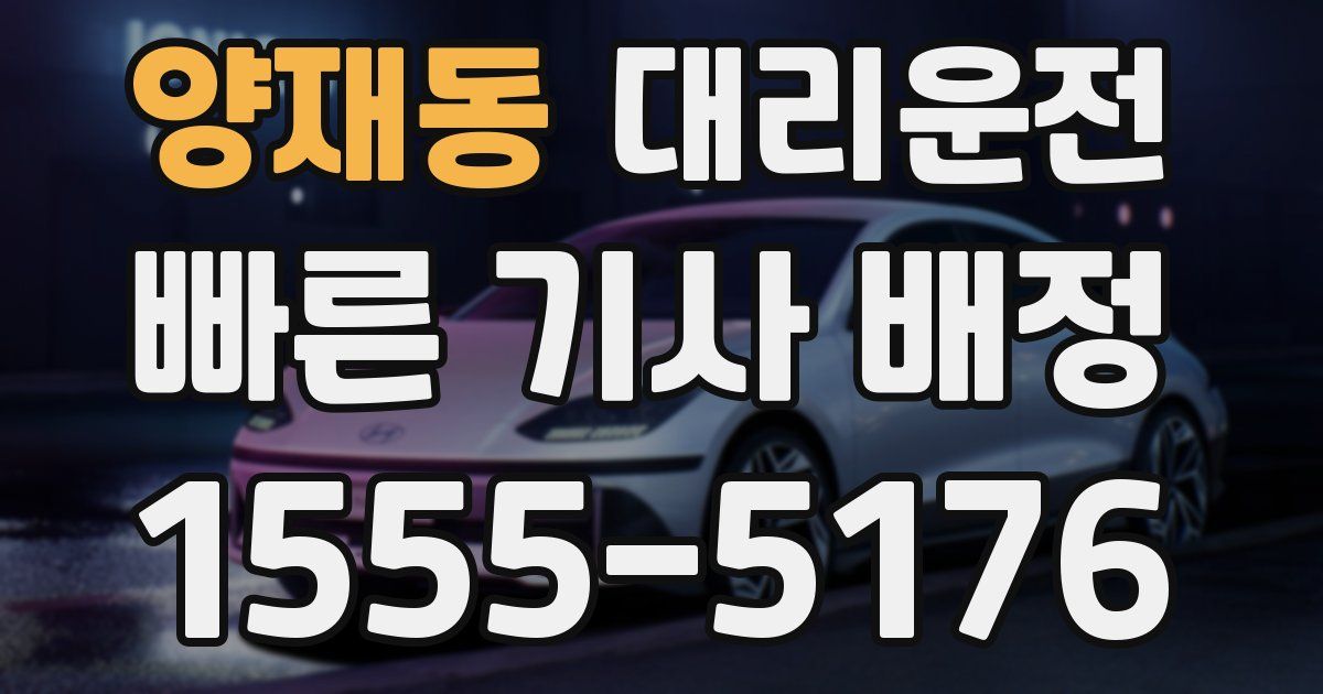 일일대리기사