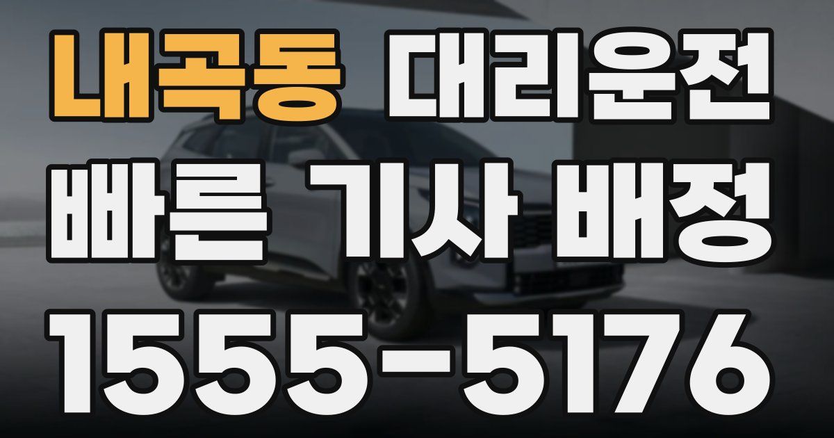 일일대리기사