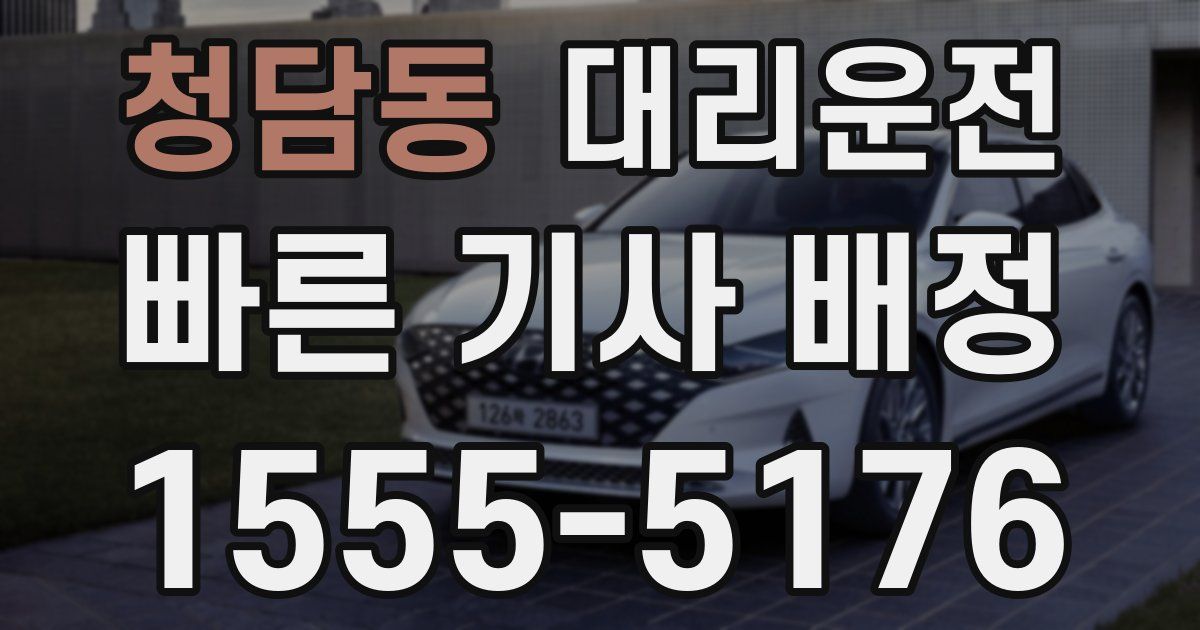 일일대리기사