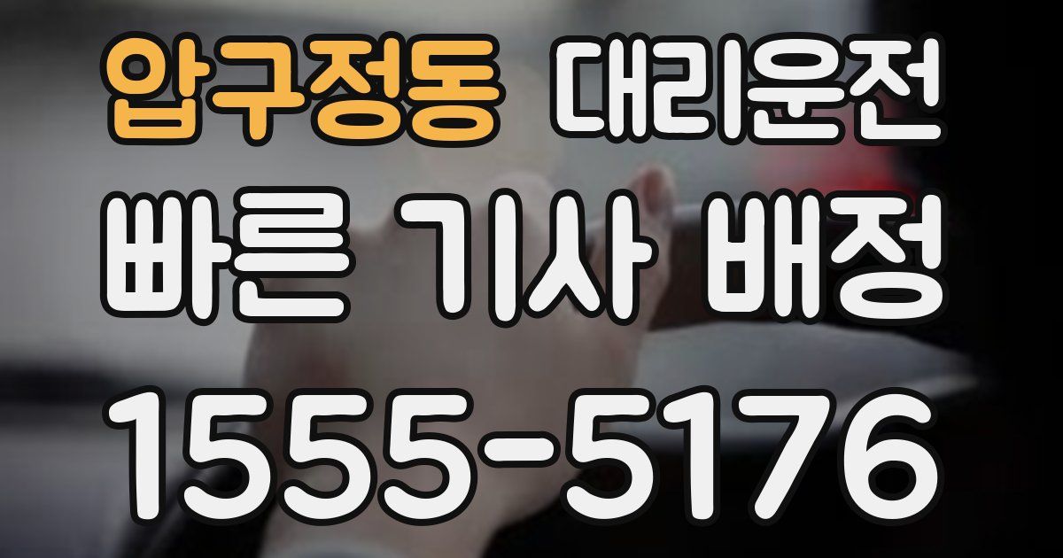 일일대리기사