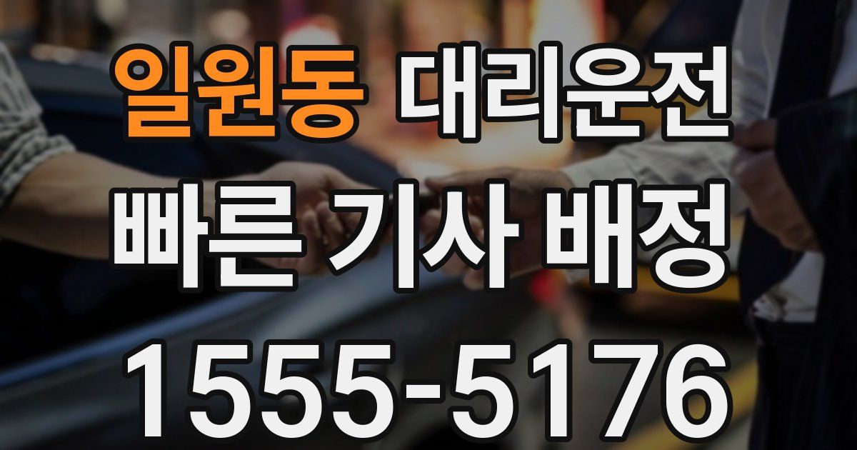 일일대리기사