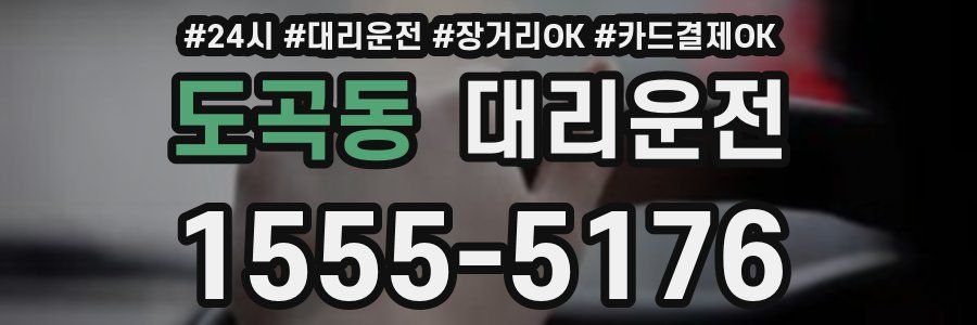 도곡동 대리운전