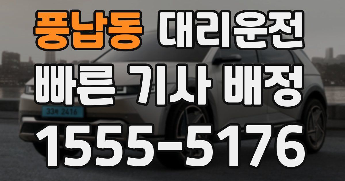 일일대리기사