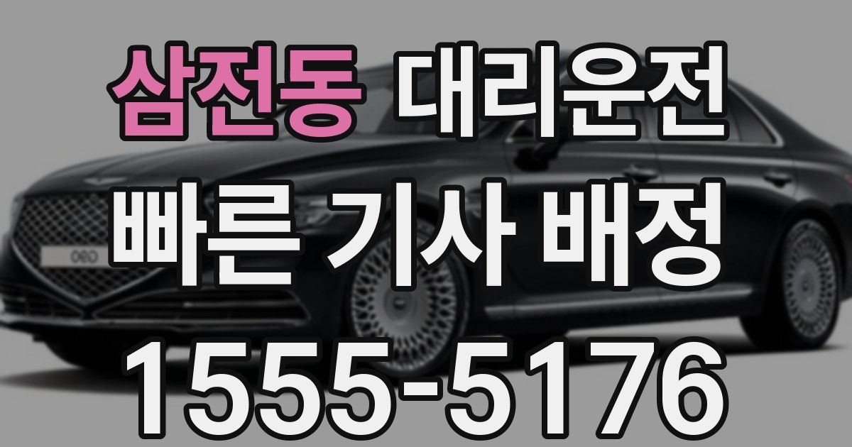 일일대리기사