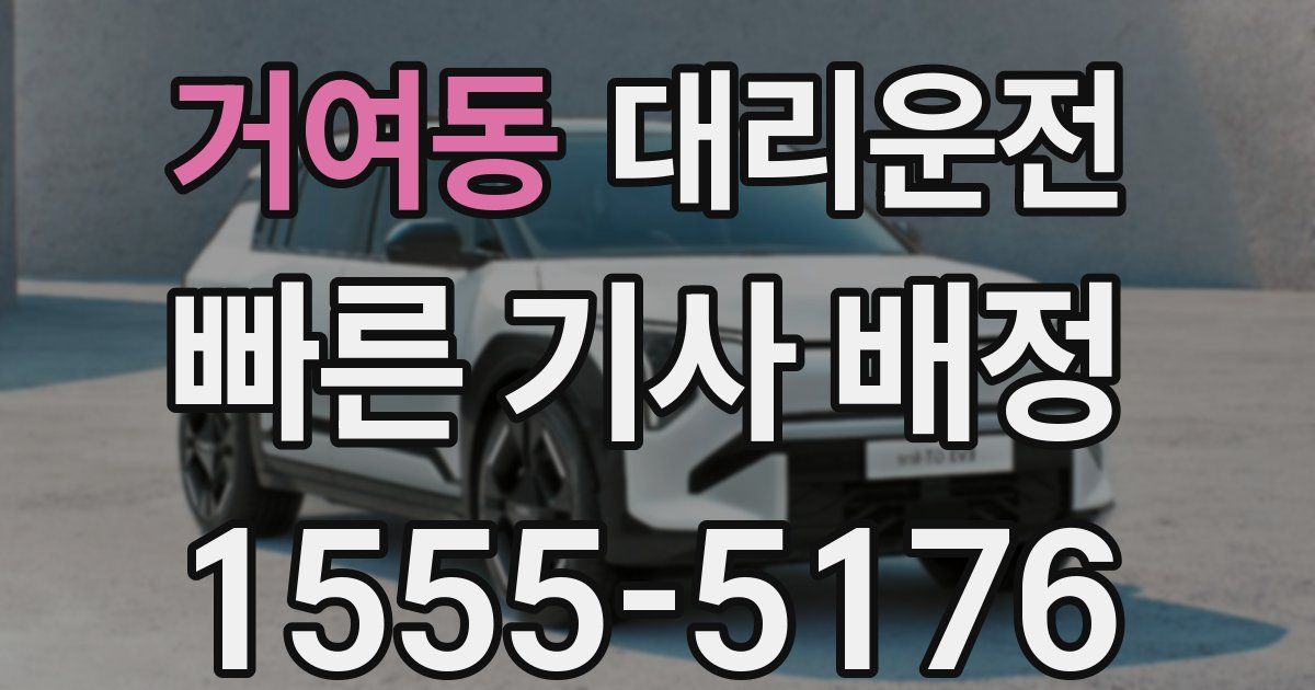 일일대리기사