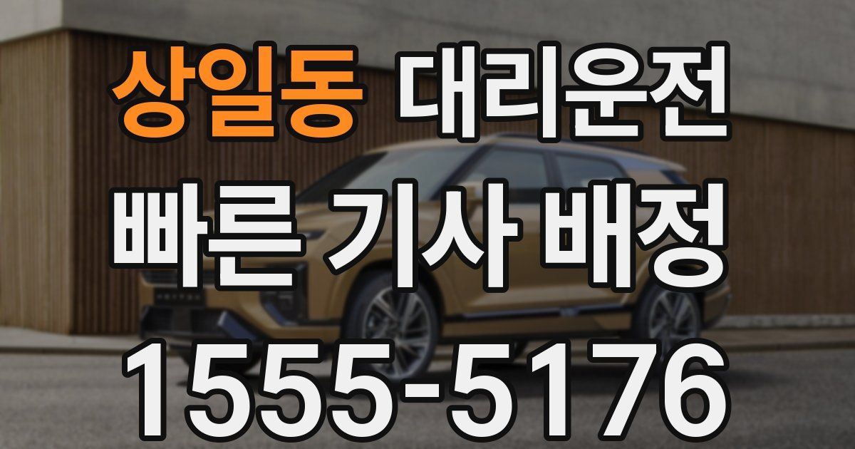 일일대리기사