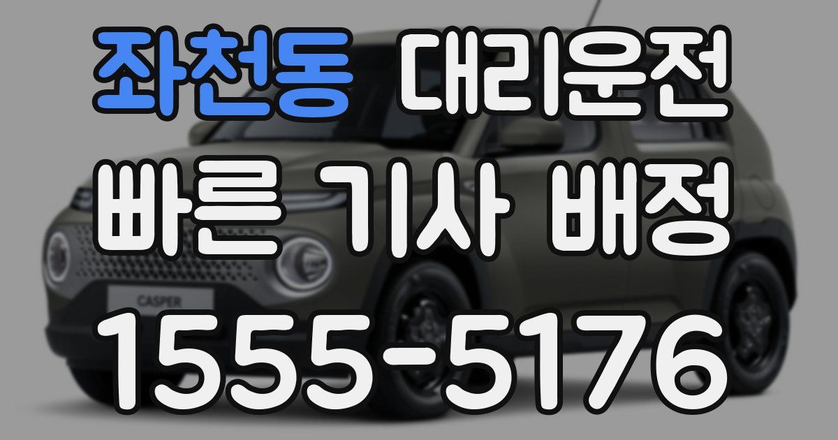 일일대리기사