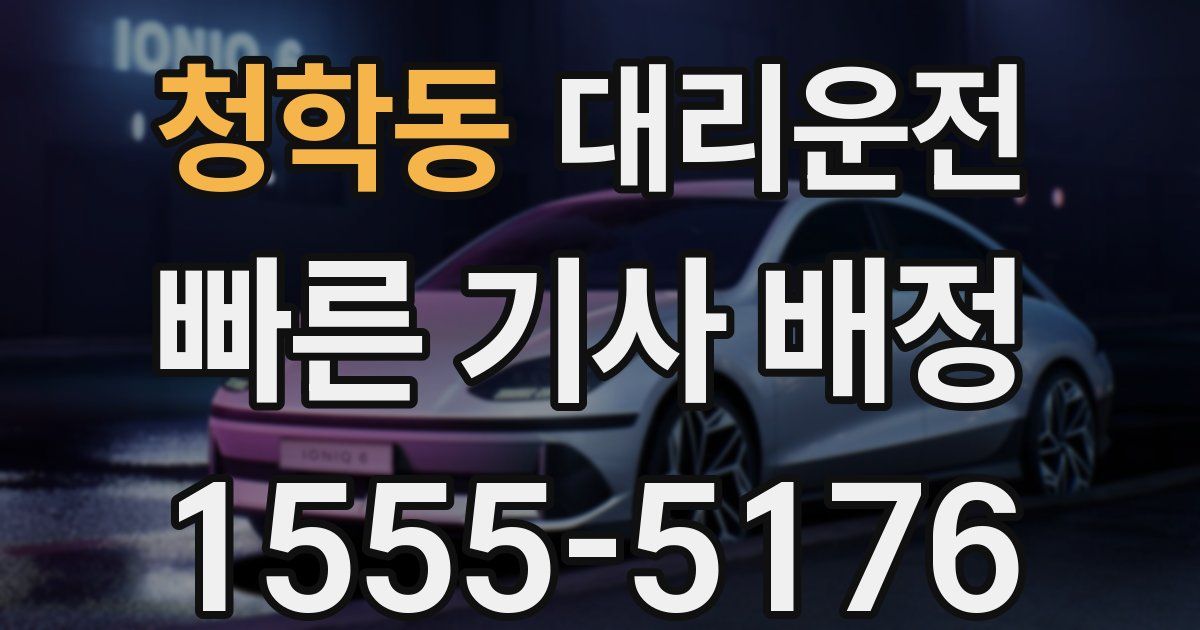 일일대리기사