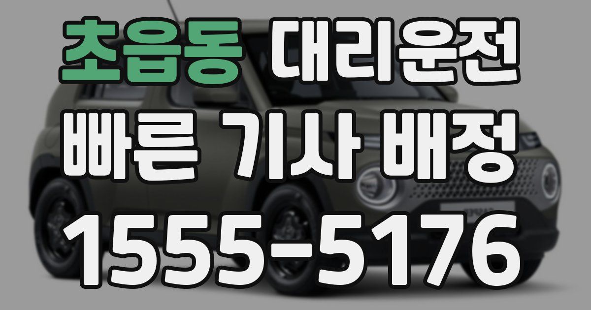 일일대리기사
