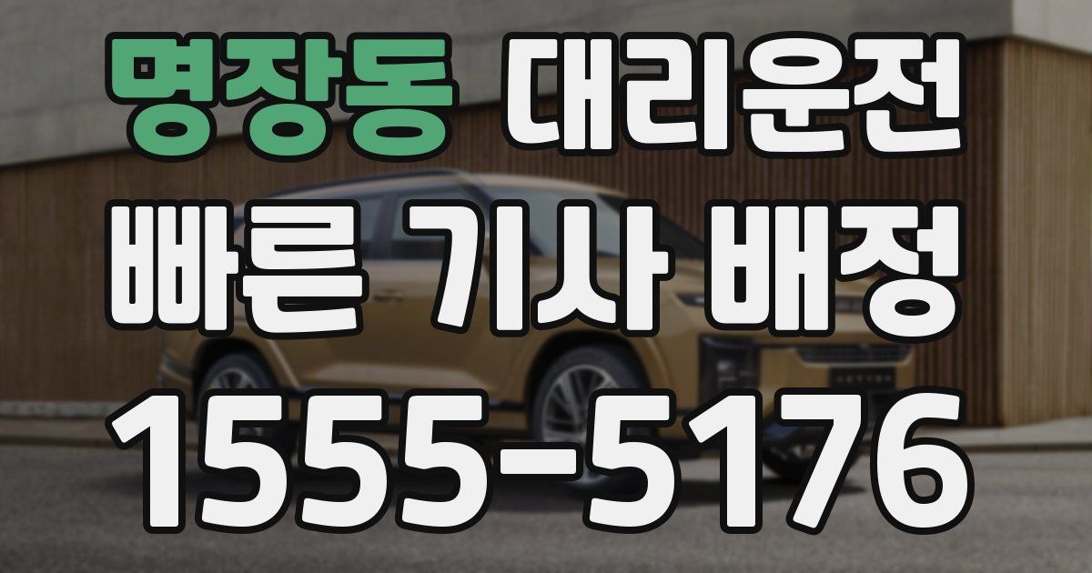 일일대리기사