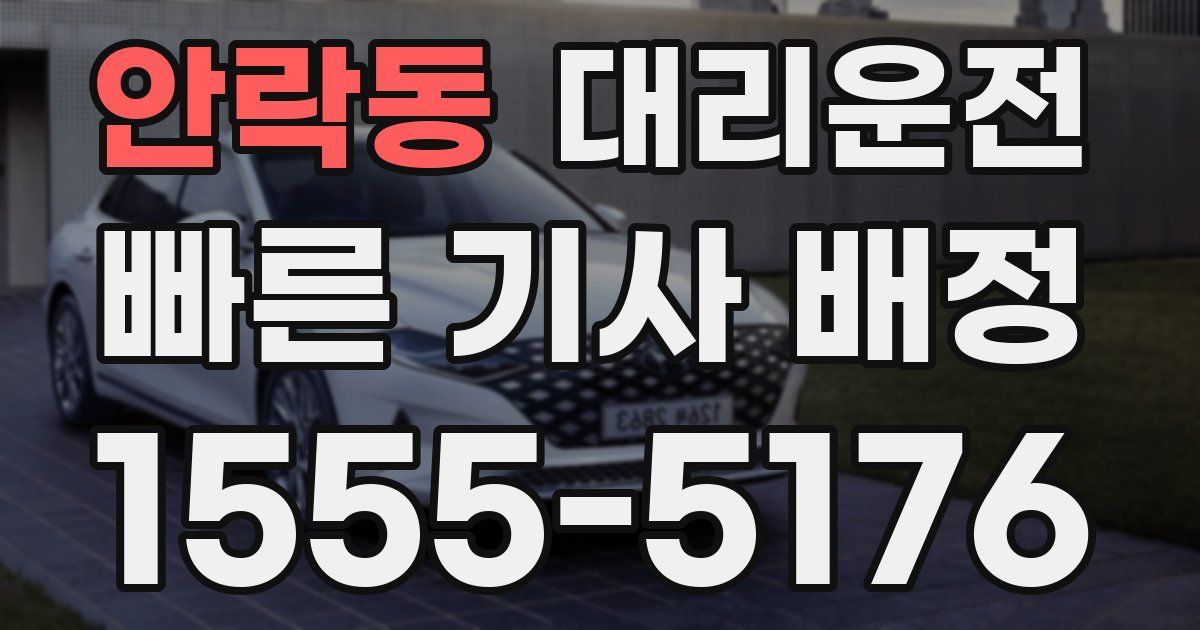 일일대리기사