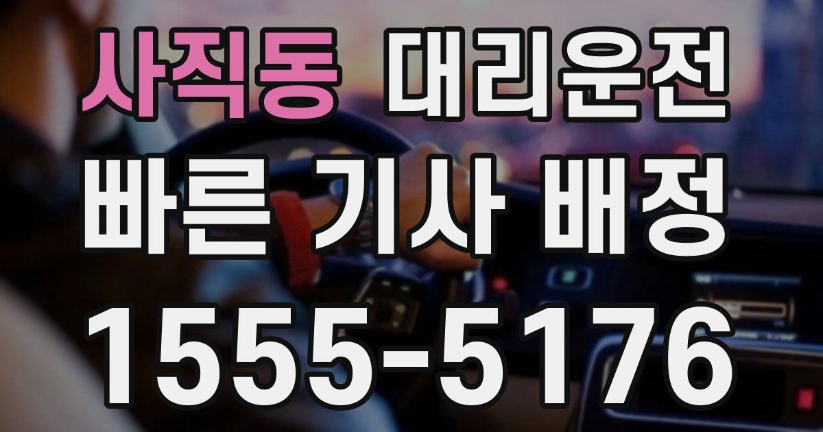 일일대리기사