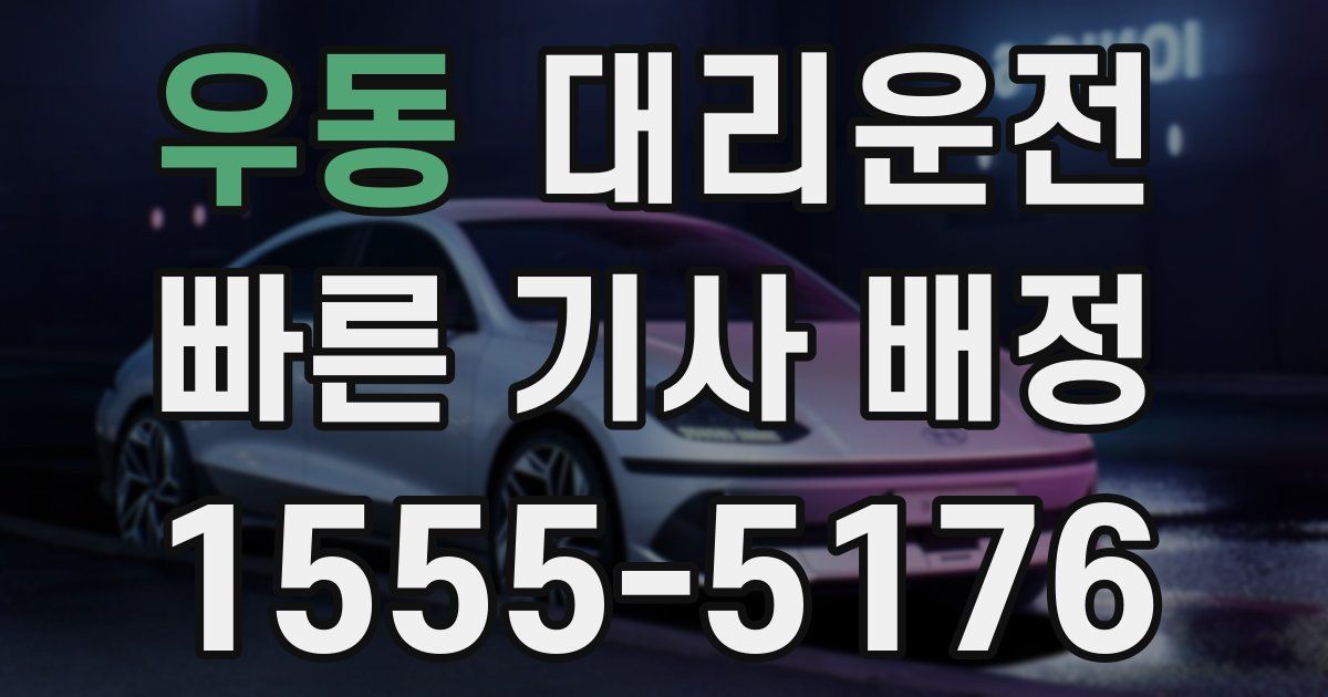 일일대리기사