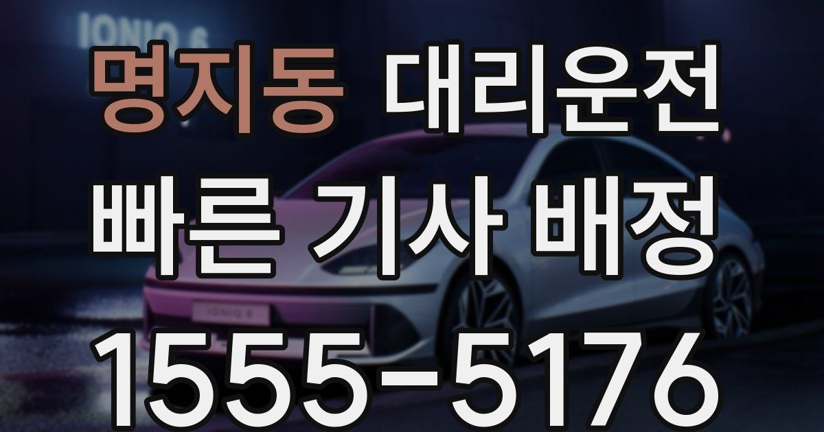 일일대리기사