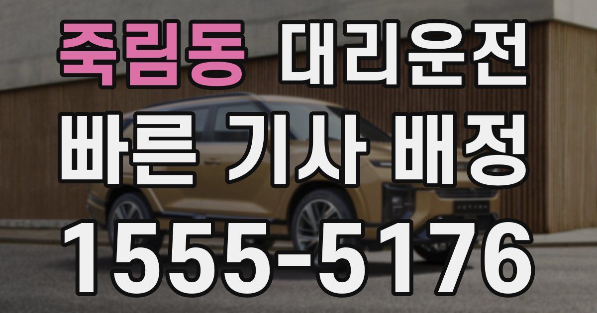 일일대리기사