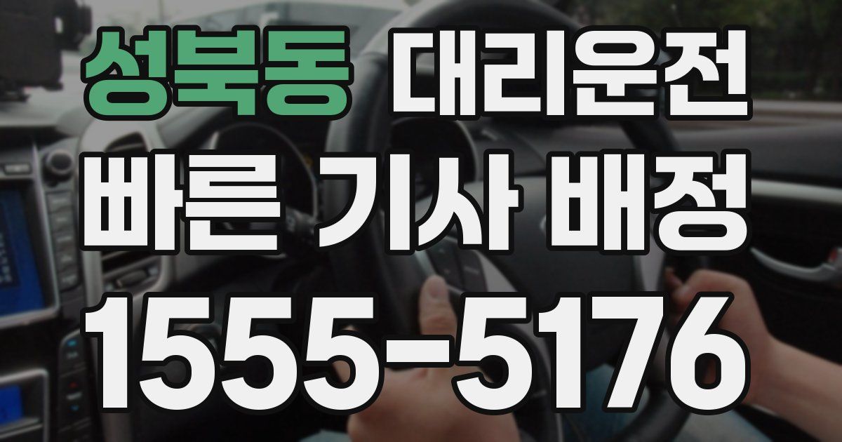 일일대리기사