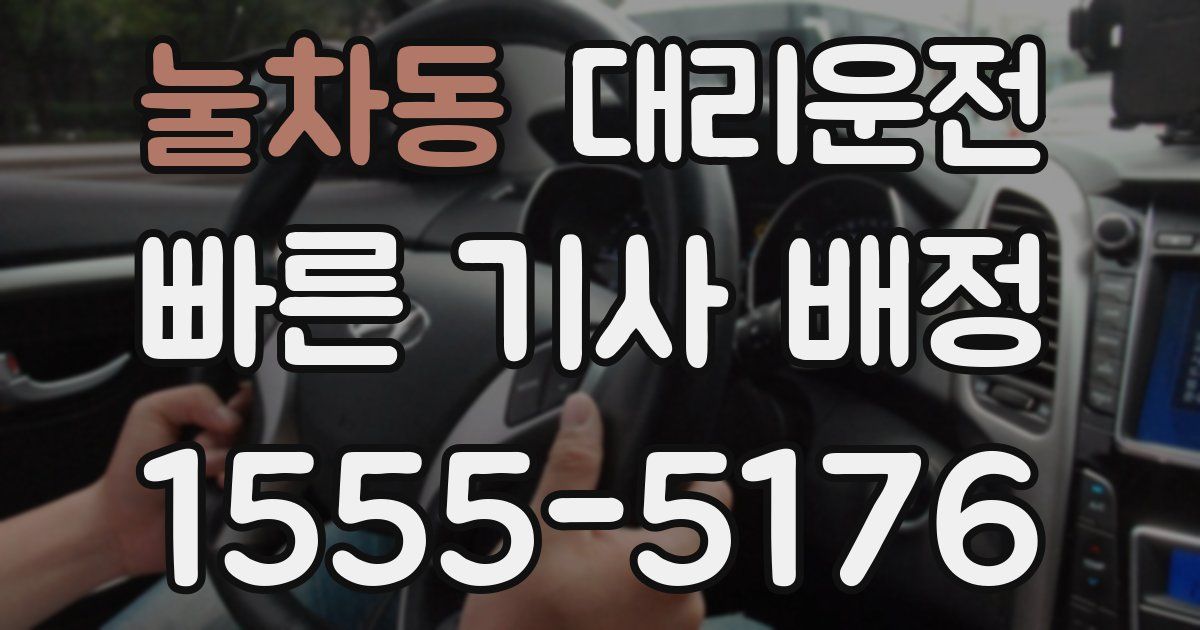 일일대리기사