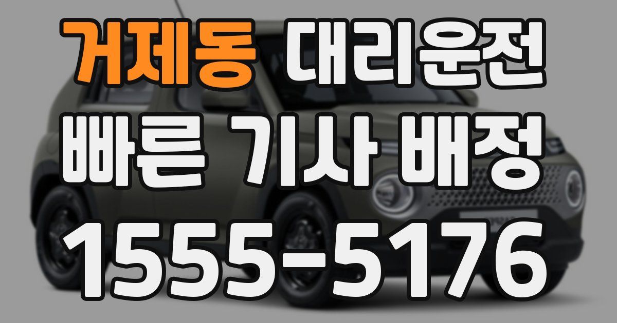 일일대리기사
