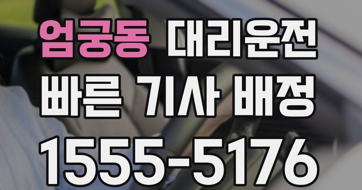 일일대리기사