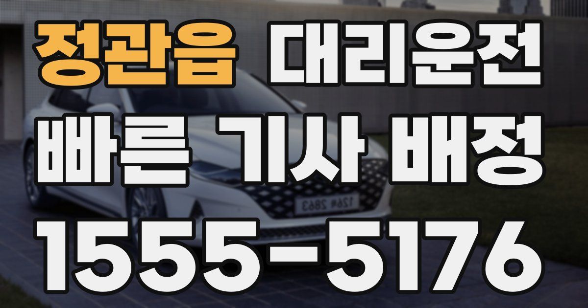 일일대리기사