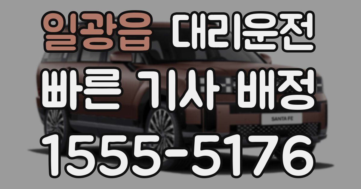 일일대리기사
