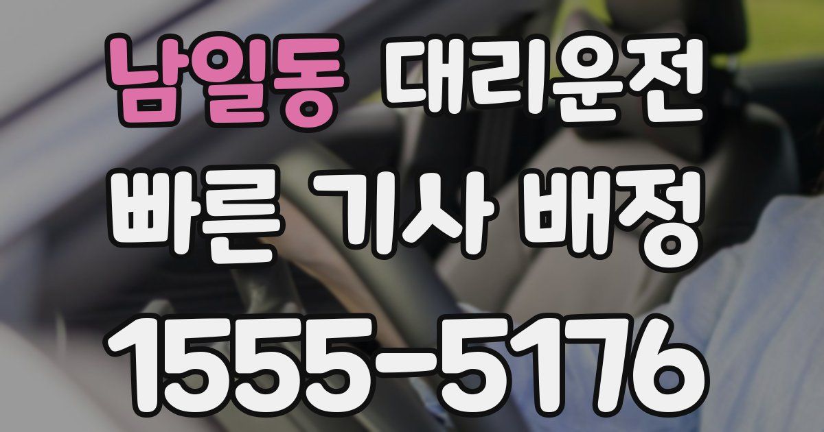 일일대리기사