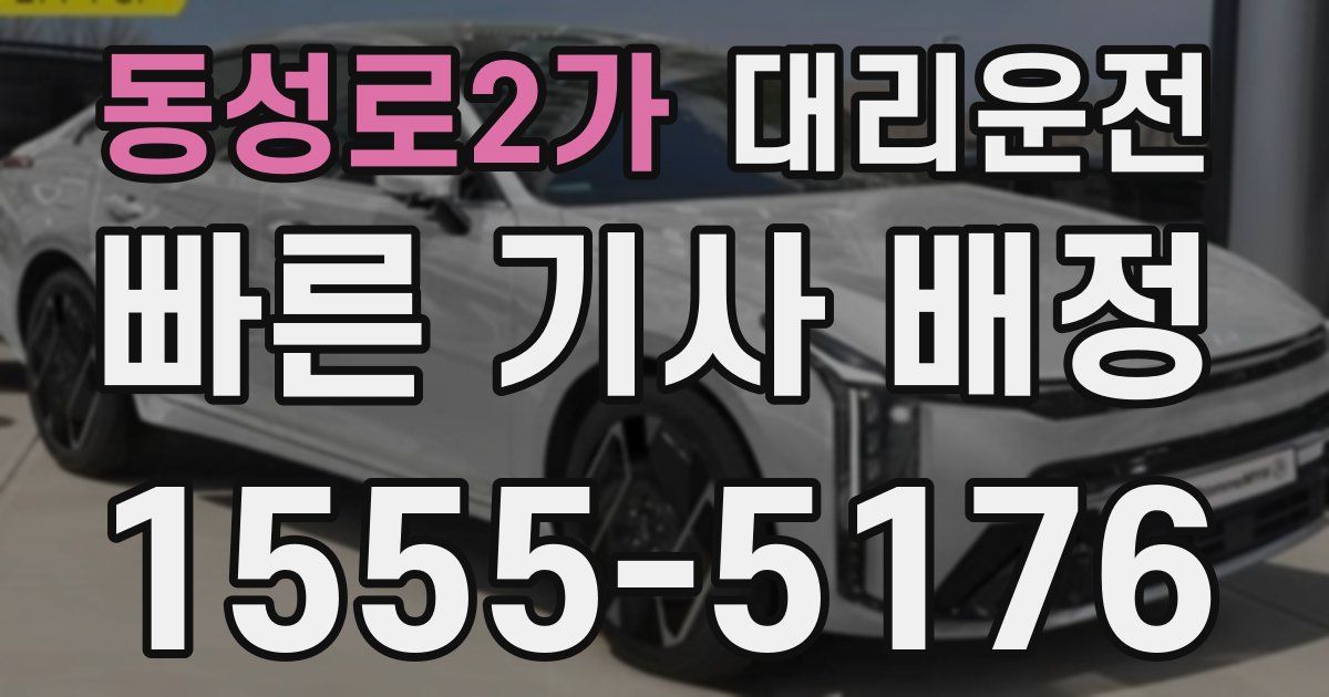 일일대리기사