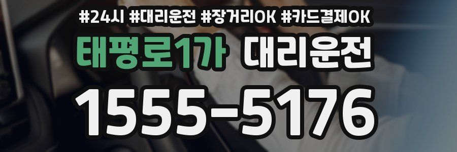 태평로1가 대리운전